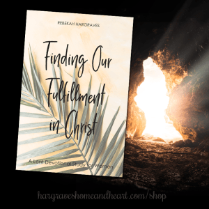 Finding Our Fulfillment in Christ