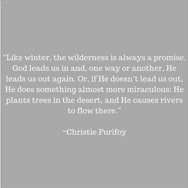 GOD WORKS IN AND THROUGH OUR DESERT SEASONS
.
We all have those desert seasons of life at one time or another. Those seasons when life is hard, we don’t know up from down, and the difficulty of our circumstances lead to it feeling hard for us to hear from God. We end up in a dry season of faith, a time in the spiritual desert, as it were, wanting to draw near to God, wanting to hear from Him, but also doubting His goodness for allowing us to go through such a season.
.
Take heart, friend, that He is with you in your season! He is with you in the wilderness, in the desert, in the place where you feel unseen, unheard, and just plain stuck. He has never left your side, loves you more than anyone else ever could, and is still in the business of performing miracles in the most unlikely and unexpected of places.
.
Turn to Him, friend. He won’t let you down. 💕
.
#shereadstruth #lampandlight #bedeeplyrooted #wellwateredwomen #butfirstjesus #looktohim #heiswithyou #hewillneverleaveyounorforsakeyou #loveofgod #godisgood #christiepurifoy #placemakerbook #spiritualwilderness #spiritualdesert #hewillwork #hewillcomethrough #godofmiracles